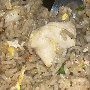 Hair on R4. Chicken Fried Rice