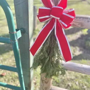 Festive bows on the gate!