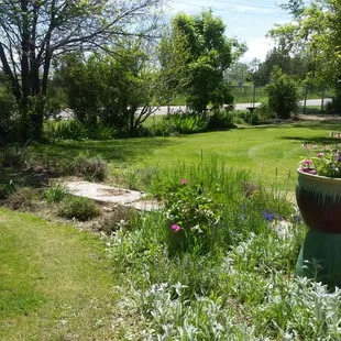 One of our many gardnes