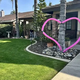 Green lawn