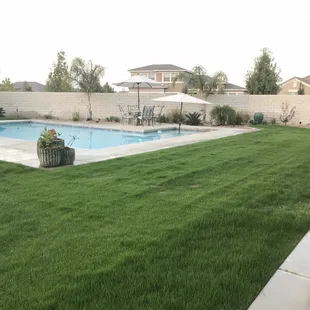 October 23rd...watering once a day. Already mowed two times!