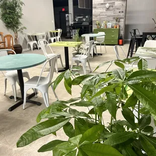 Plants while you have your coffee or other