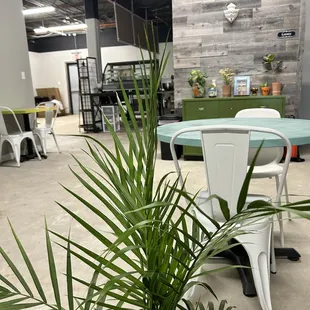 Looking through a plant