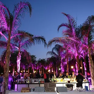 Evening at the Paradise Island