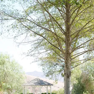 Picture perfect setting for your intimate Ceremony