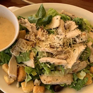Chicken Caesar Salad