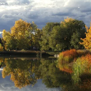 Love coming here to take photos in the fall.