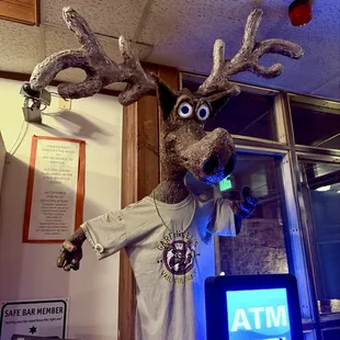 sushi and sashimi, interior