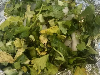 Jalapenos Mexican Restaurant