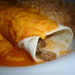 Enchilada, close-up.