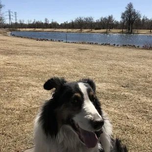 My love Odis Junior in David T Garland park.By the  lollipop lake