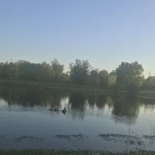 Lollipop lake