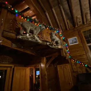 two stuffed animals on the ceiling