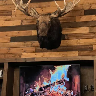An actual moose head . Loved the fireplace on the tv.