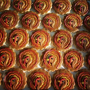 Turkey cookies