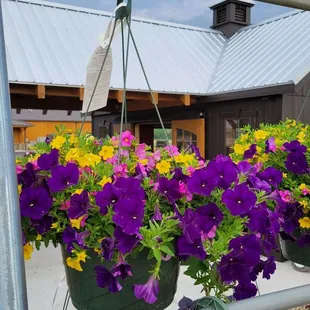 Garden Center. Grand Opening of new Market and Store, May 04, 2024.