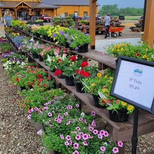 Garden Center. Grand Opening of new Market and Store, May 04, 2024.