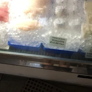 Scallops and picked crab