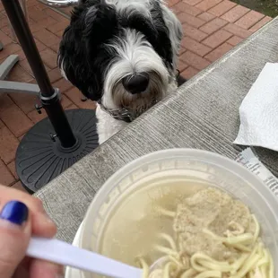 Matzo Ball Soup