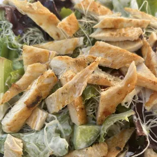 Chicken Salad Plate