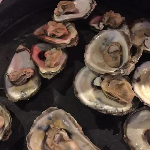Steamed Oysters