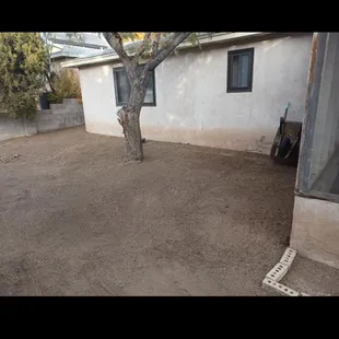 Tree trim as well as yard clean up