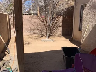 Tazz Landscape and Trash Removal