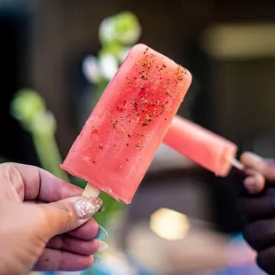 Watermelon BOOZY paletas