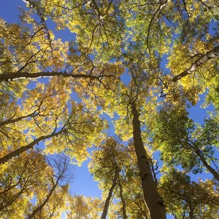 Yep. That's for true.