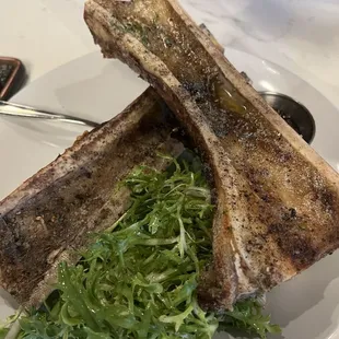 Bone Marrow