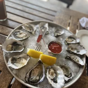 Oysters $1.25 each during hh