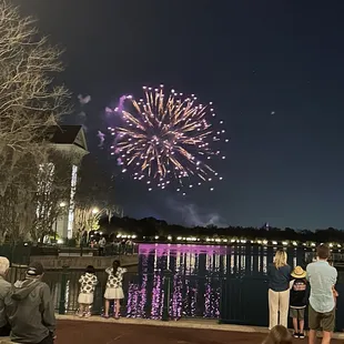 fireworks in the sky