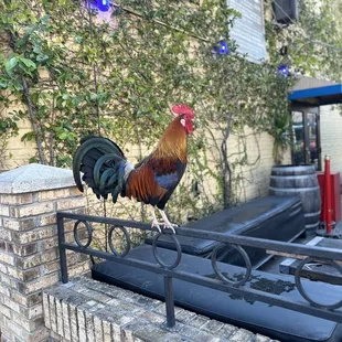 Visitors