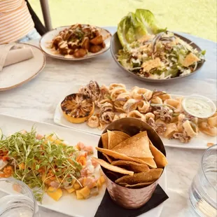 Patatas Bravas, Cesar Salad, Ceviche, and Fried Calamari