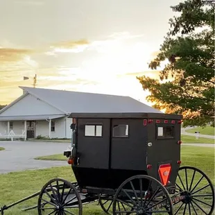 a horse drawn carriage