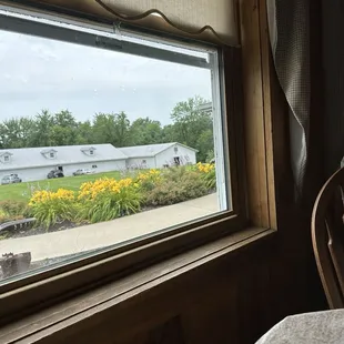 Nice view from my table