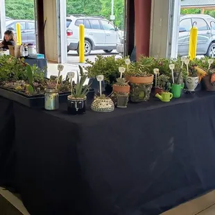 Wild And Whimsy Living.  Come visit us at the Gastonia Farmer's Market. Saturdays, 7:30 am - 12:30 pm.