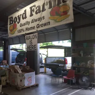 Best vender for corn