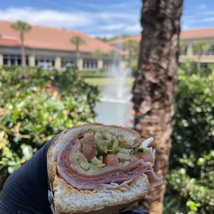 Spicy Peruvian Sub