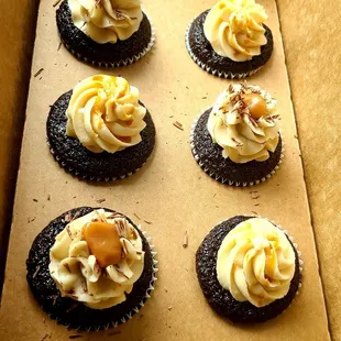 a dozen cupcakes in a box