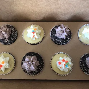 a dozen cupcakes in a box