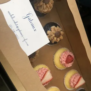 a dozen cupcakes in a box
