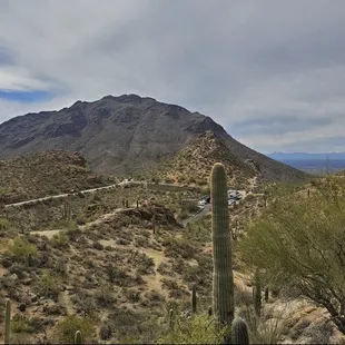 View from the top