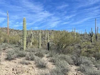 hidden canyon trail