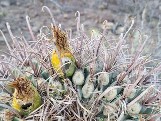 Sweetwater Preserve