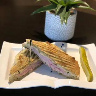 Cuban Panini