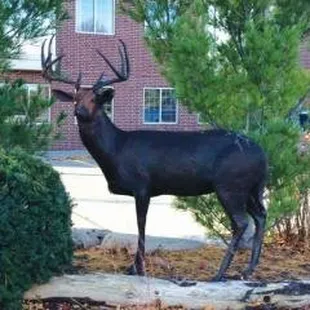 Gateway Dermatology PC