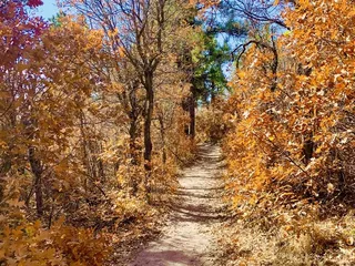 Dawson Butte Ranch Open Space Trail