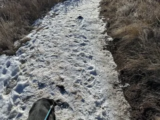 Ridgeline Open Space