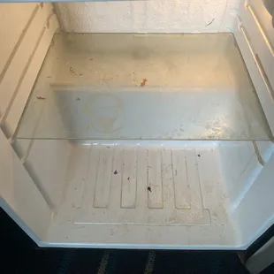 Filth. The housekeeper said she hasn't  seen it cleaned in the three months she's worked there.